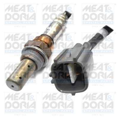 Oxygen Sensor